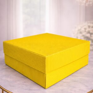 CAJA DE CARTON CORRUGADO GRANDE