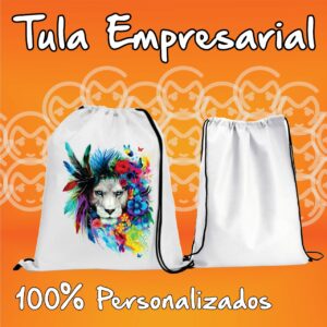 Tula general